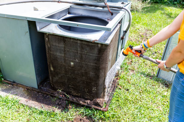 Best Ductwork Cleaning Services  in Bridgman, MI