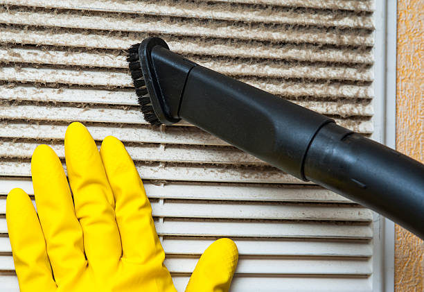 Best Local Air Duct Cleaning Services  in Bridgman, MI